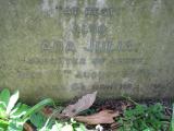image of grave number 504900